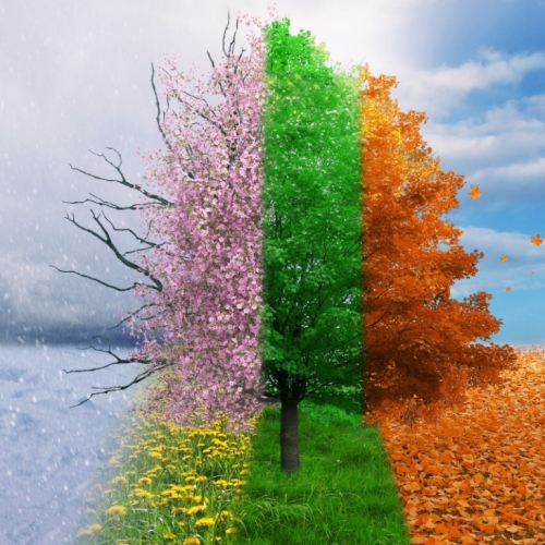 Observation du cycle menstruel avec un Mandala